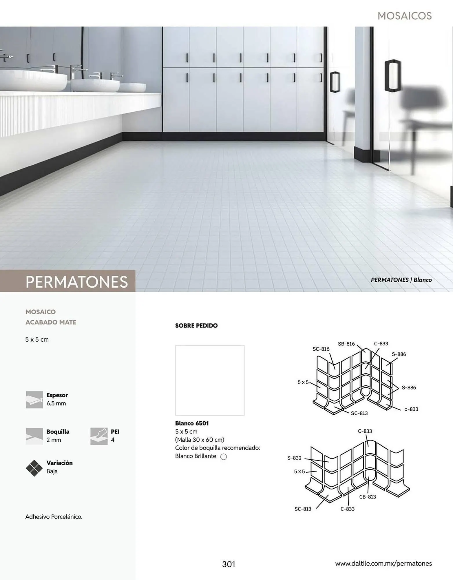 Catálogo de Catálogo Daltile 13 de enero al 31 de diciembre 2026 - Pagina 301