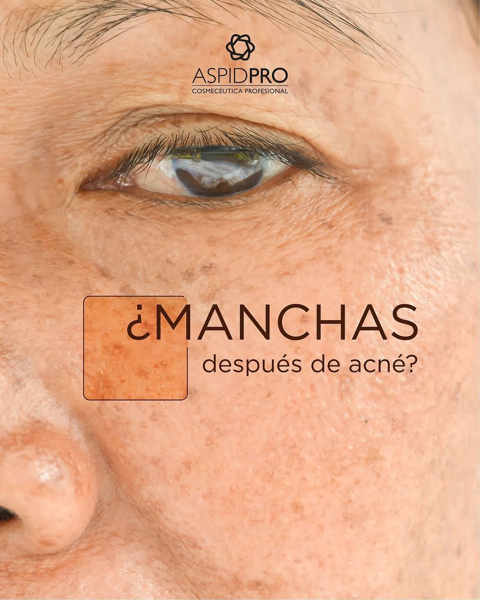 Catálogo de Catálogo AspidPro 22 de julio al 31 de julio 2025 - Pagina 1