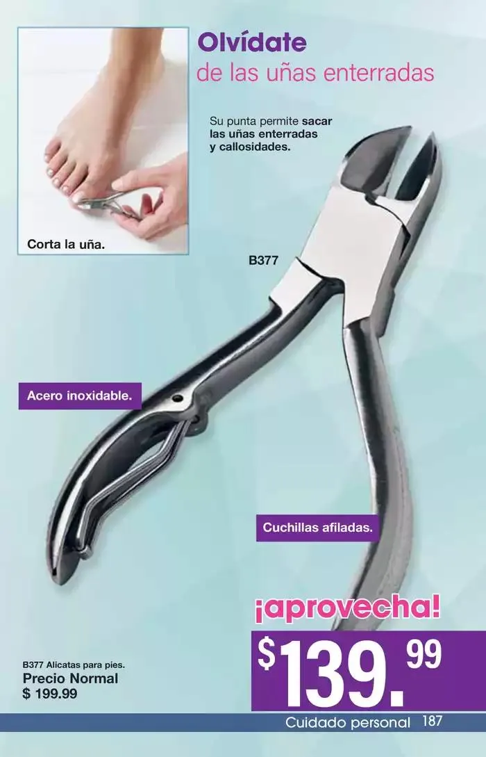 Catálogo de Arabela Campaña 24 24 de octubre al 14 de noviembre 2024 - Pagina 157