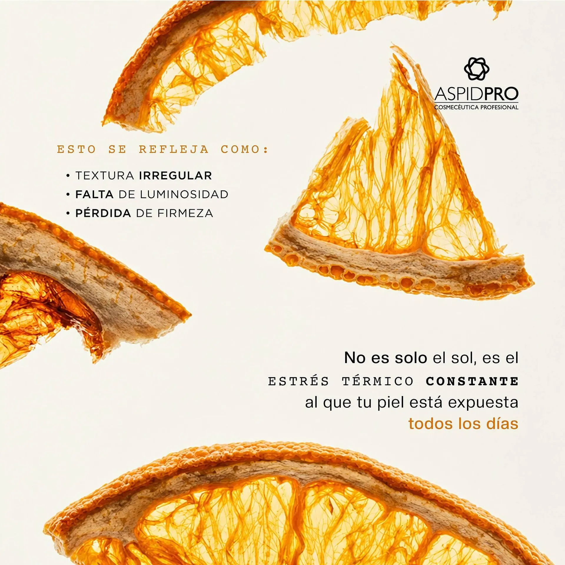 Catálogo de Catálogo AspidPro 13 de mayo al 18 de mayo 2026 - Pagina 4