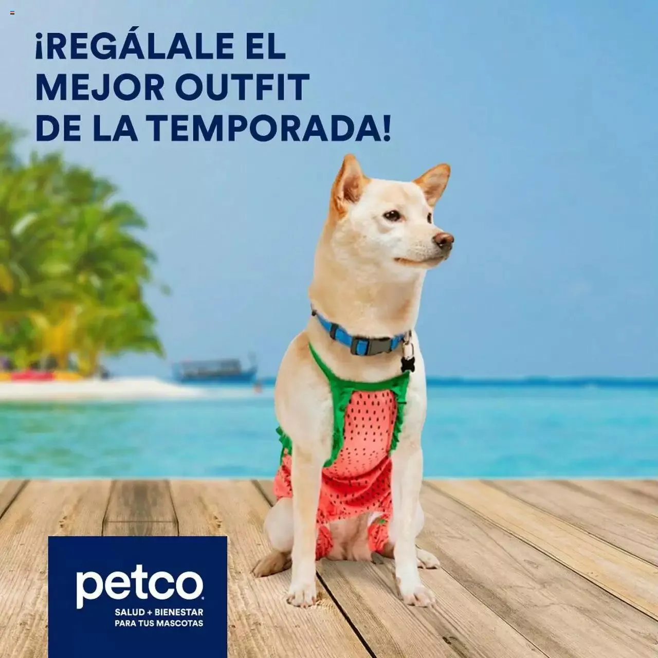 Catálogo de PetCo catálogo Summer 6 de mayo al 31 de diciembre 2024 - Pagina 1