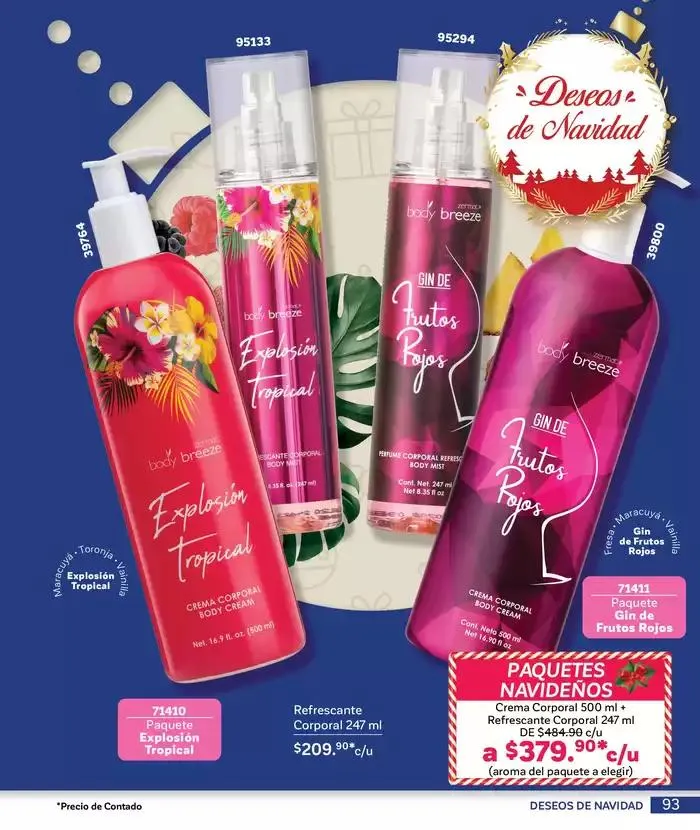 Catálogo de La esencia que transforma. 4 de diciembre al 31 de diciembre 2024 - Pagina 93