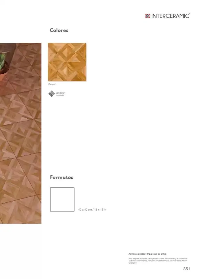 Catálogo de Colección de Pisos y Azulejos 7 de febrero al 7 de febrero 2026 - Pagina 351