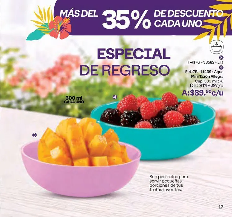 Catálogo de Tupper Tips 09 19 de junio al 7 de julio 2024 - Pagina 17