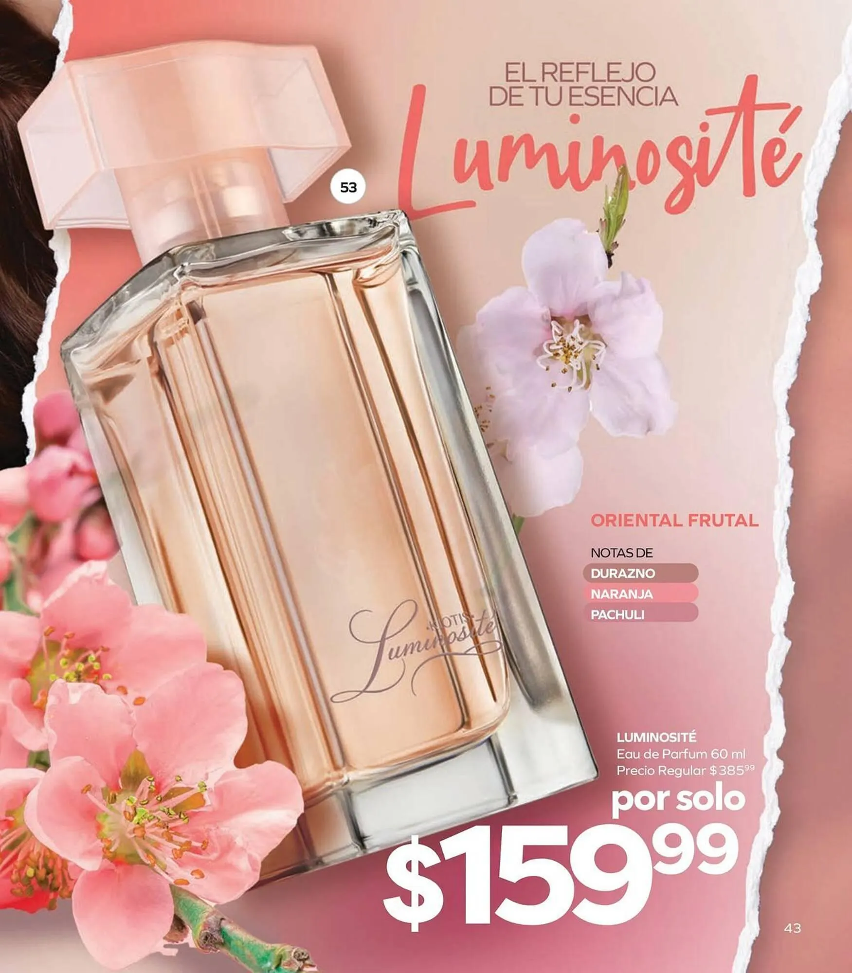 Catálogo de Catálogo Stanhome 6 de enero al 17 de enero 2026 - Pagina 47