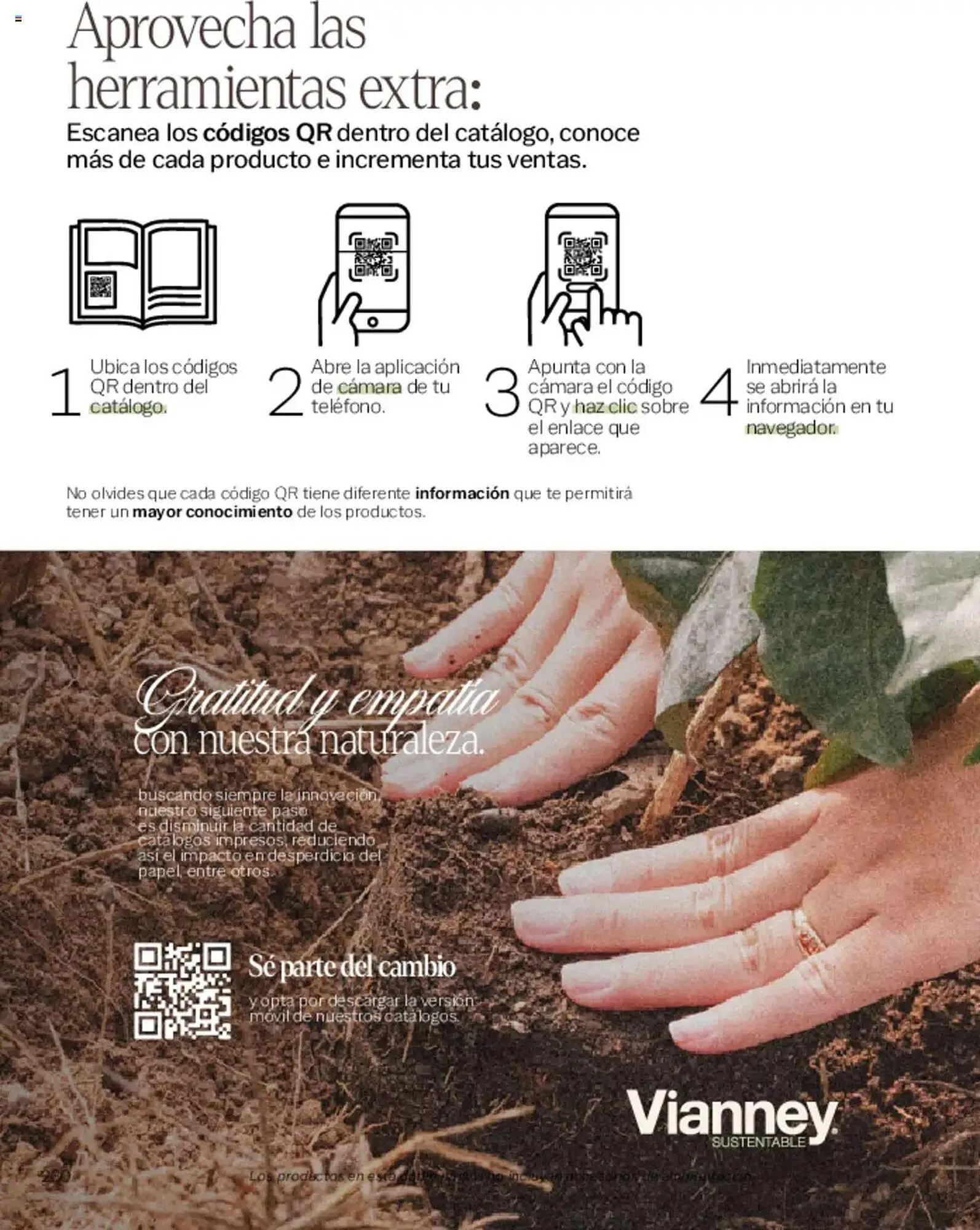 Catálogo de Catálogo Vianney 7 de marzo al 31 de mayo 2025 - Pagina 534