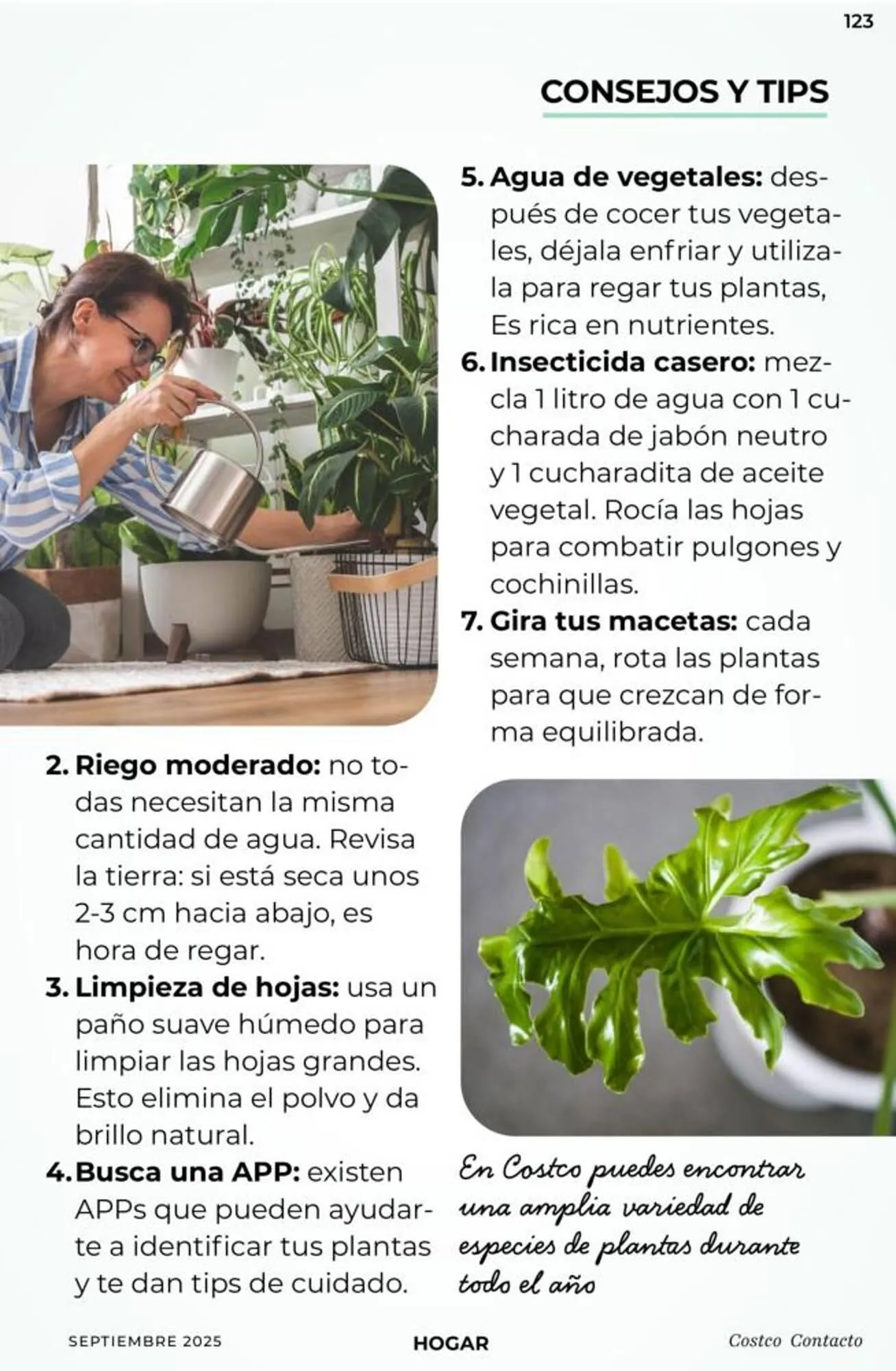 Catálogo de Catálogo Costco 10 de septiembre al 30 de septiembre 2025 - Pagina 123