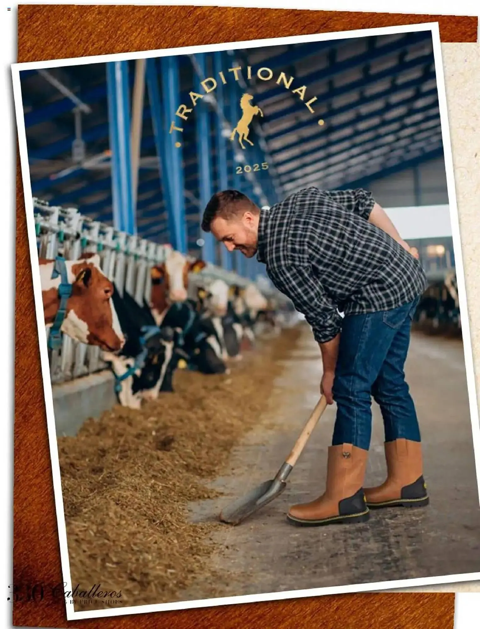 Catálogo de Catálogo Price Shoes 16 de mayo al 31 de diciembre 2025 - Pagina 330