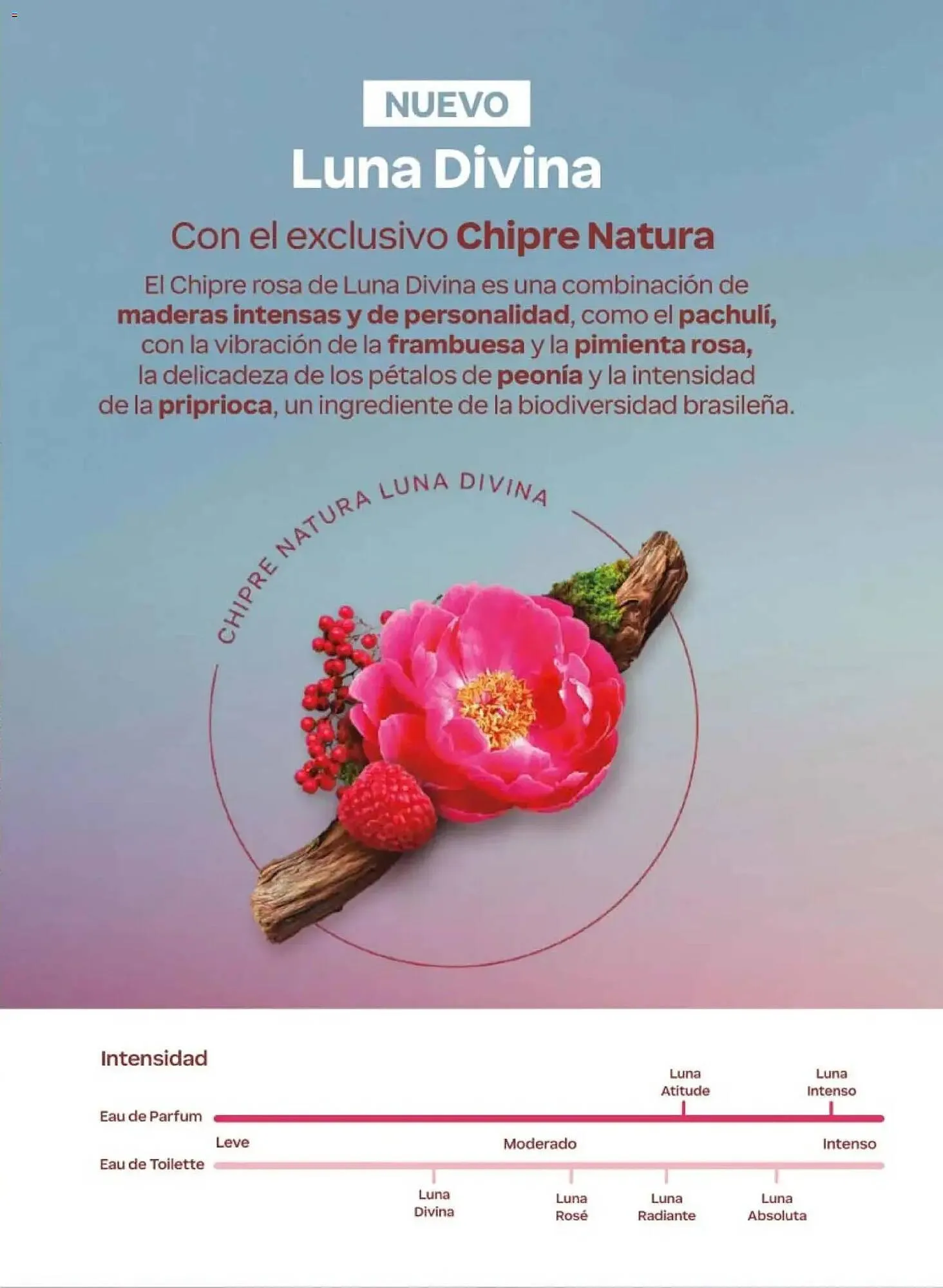 Catálogo de Catálogo Natura 24 de abril al 28 de mayo 2026 - Pagina 27