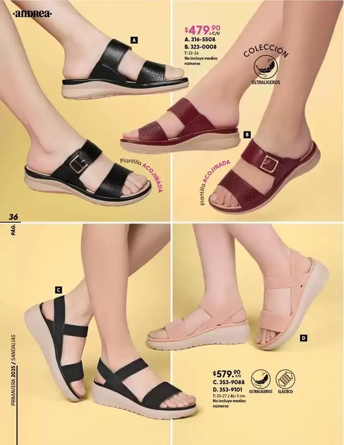 Catálogo de ANDREA | CALZADO CONFORT 26 de enero al 24 de mayo 2025 - Pagina 36