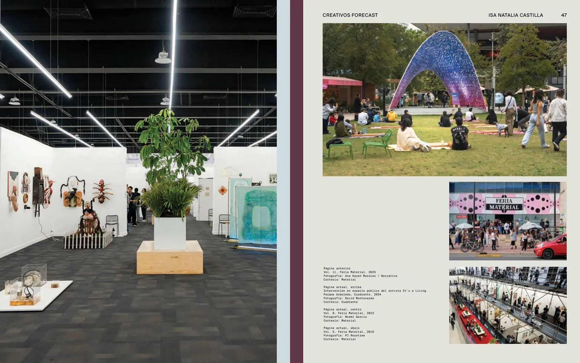 Catálogo de Catálogo Comex 22 de enero al 28 de febrero 2026 - Pagina 25