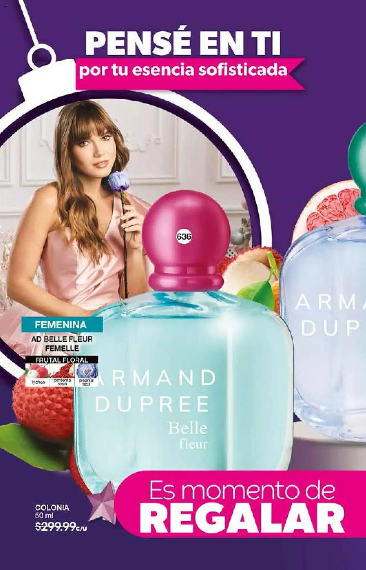 Catálogo de Catálogo Fuller 29 de octubre al 30 de noviembre 2025 - Pagina 208