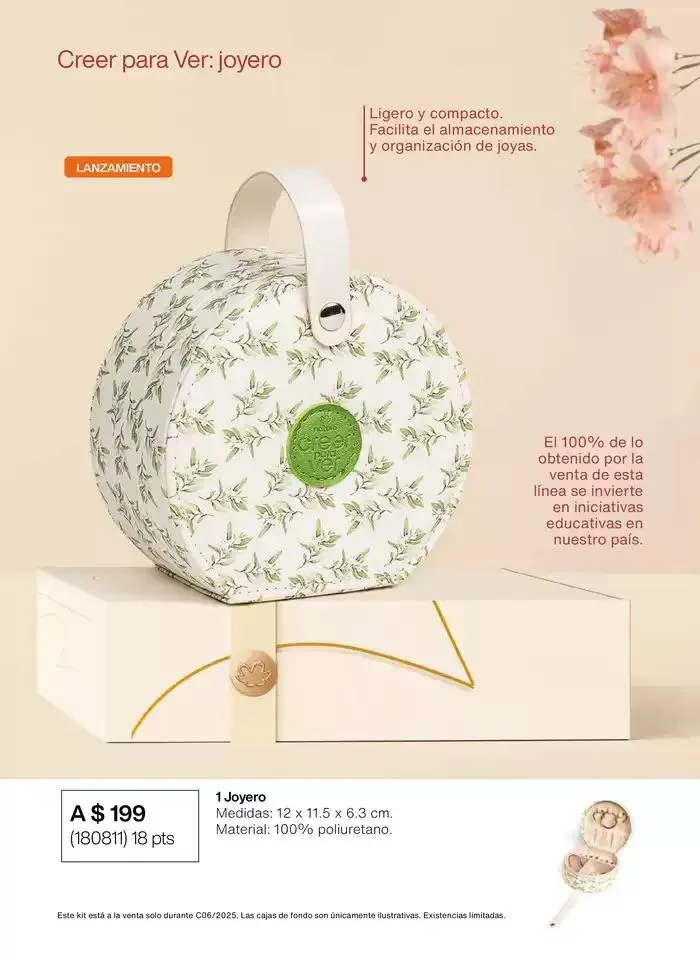 Catálogo de Ciclo 06 1 de junio al 30 de junio 2025 - Pagina 41