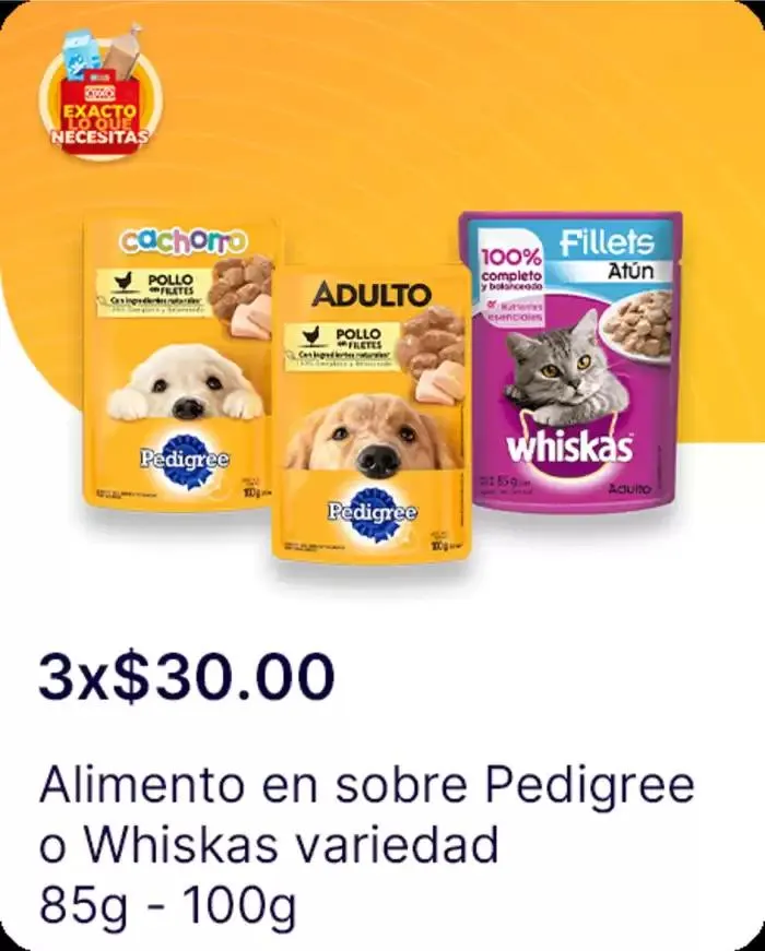 Catálogo de Exacto lo que necesitas 7 de enero al 22 de enero 2025 - Pagina 141