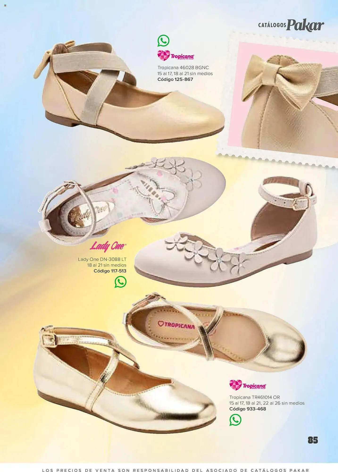 Catálogo de Catálogo SC Pakar 30 de enero al 1 de julio 2026 - Pagina 85