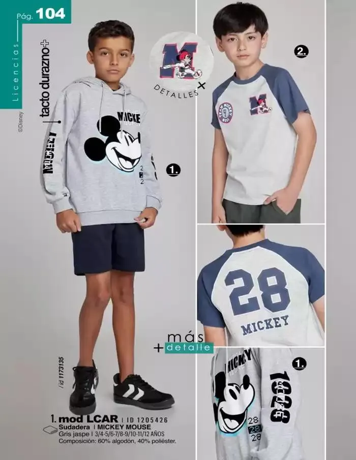 Catálogo de LICENCIAS | PV | DIG | 2025 | 1E 1 de marzo al 30 de septiembre 2025 - Pagina 104