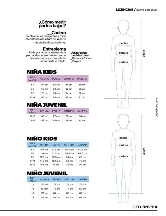 Catálogo de LICENCIAS  16 de septiembre al 31 de enero 2025 - Pagina 145