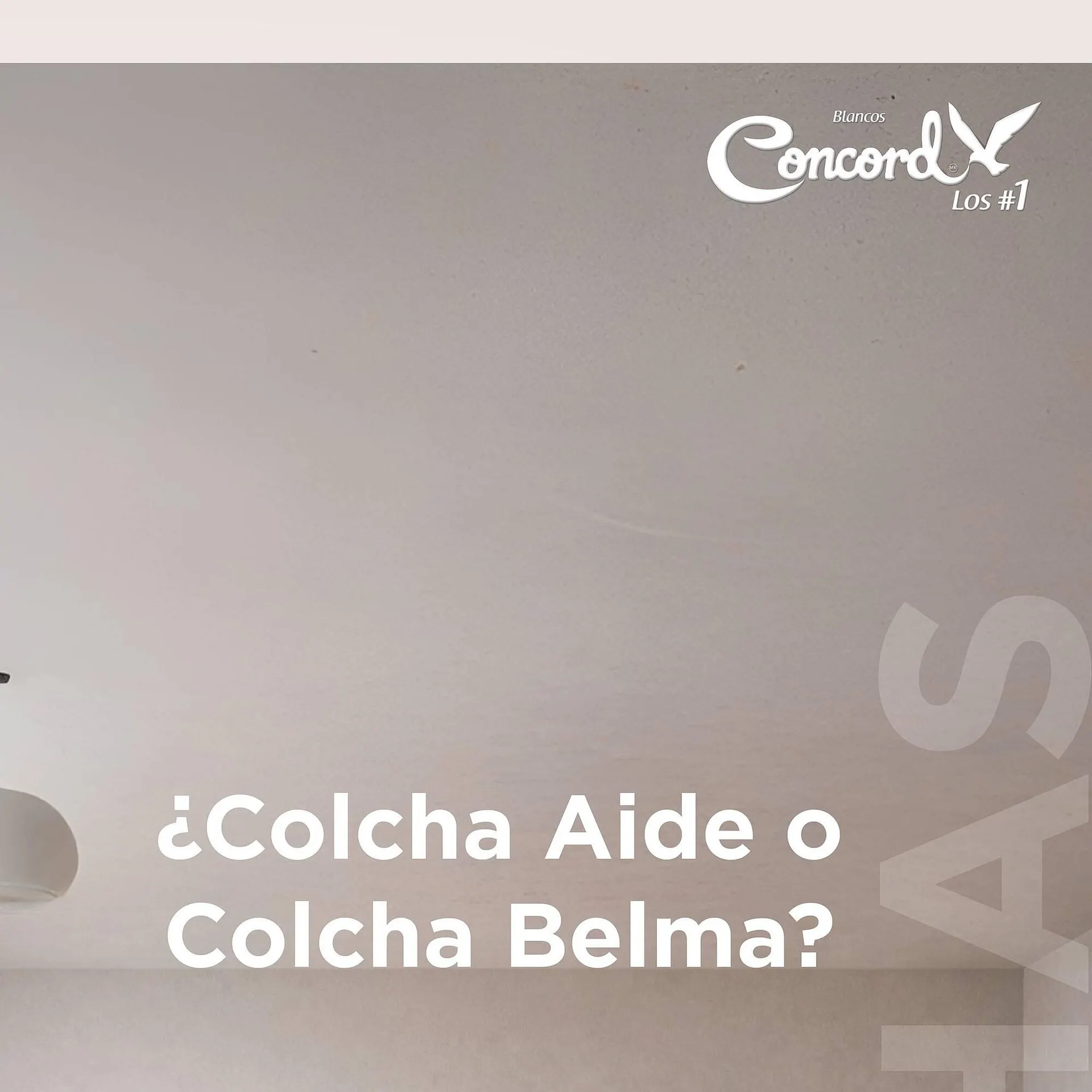 Catálogo de Catálogo Colchas Concord 15 de abril al 21 de abril 2026 - Pagina 2