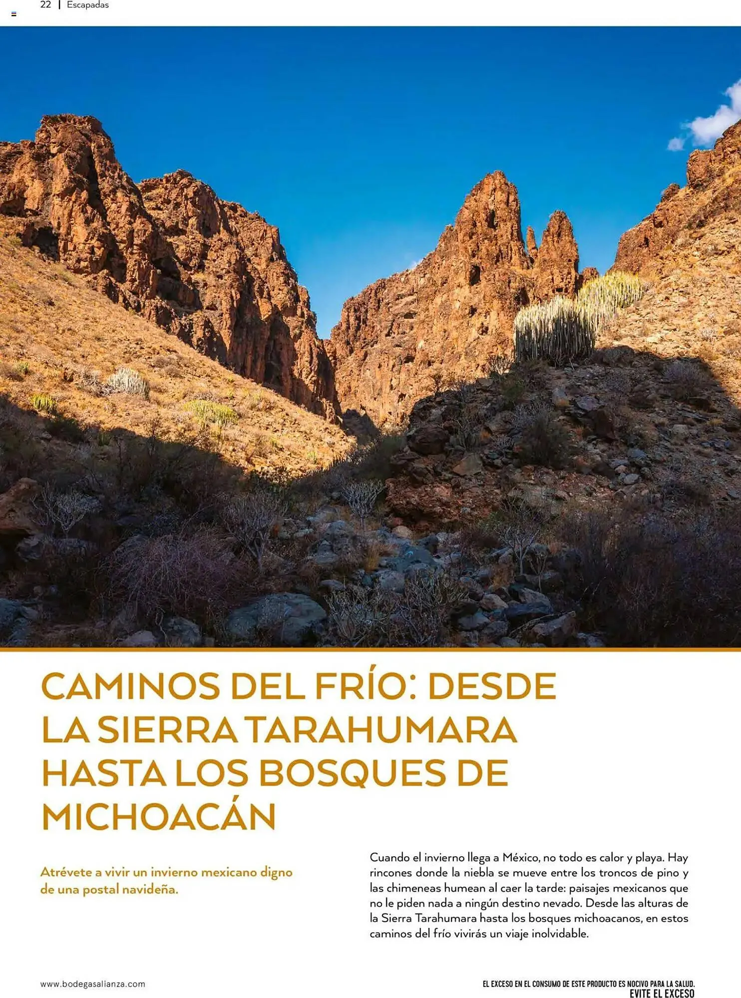 Catálogo de Folleto Bodegas Alianza 1 de octubre al 1 de enero 2026 - Pagina 24