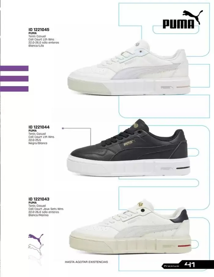 Catálogo de IMP PREMIUM  16 de diciembre al 16 de marzo 2025 - Pagina 41