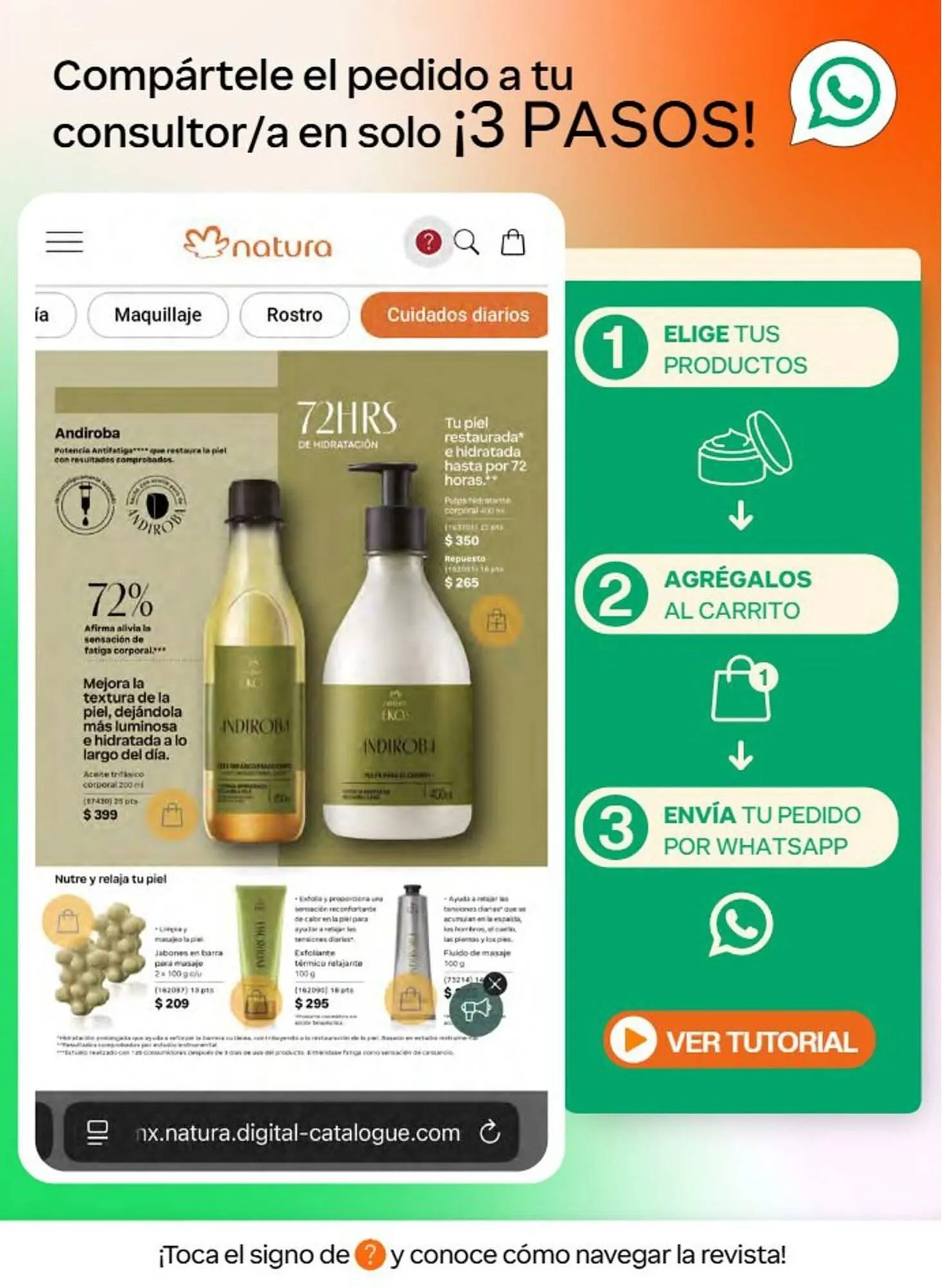 Catálogo de Catálogo Natura 1 de agosto al 31 de agosto 2026 - Pagina 2