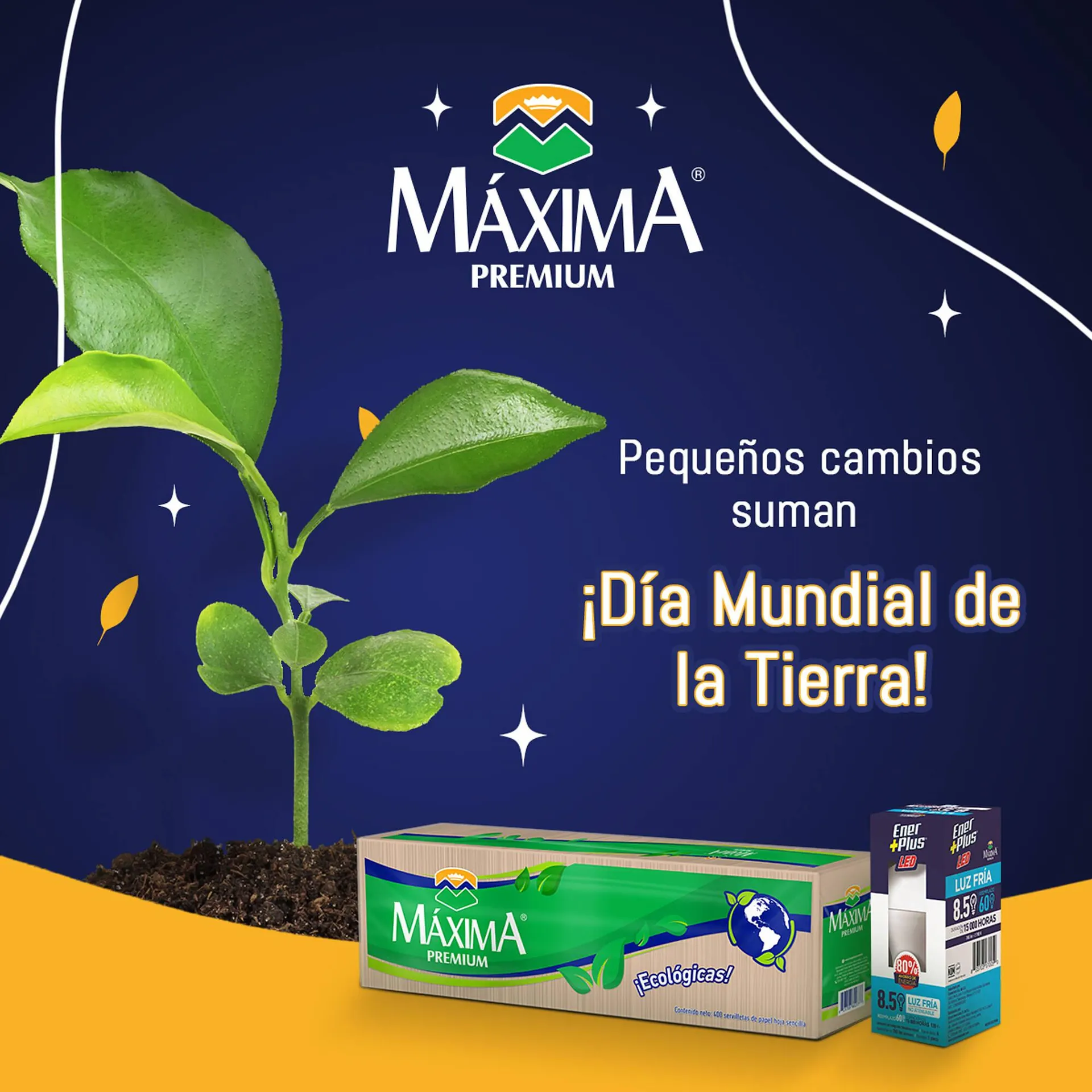 Catálogo de Catálogo Scorpion 22 de abril al 22 de abril 2024 - Pagina 1