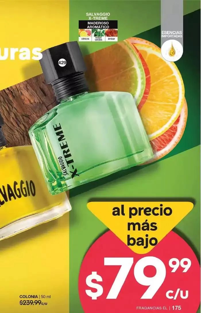 Catálogo de Fuller CAMPAÑA 20 9 de enero al 28 de enero 2025 - Pagina 87