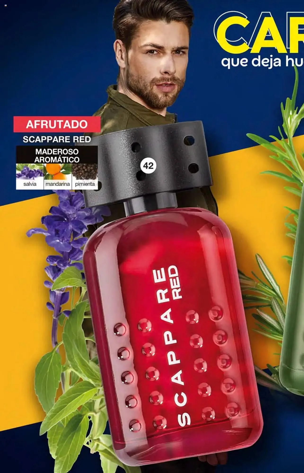 Catálogo de Catálogo Fuller 30 de abril al 20 de mayo 2025 - Pagina 20