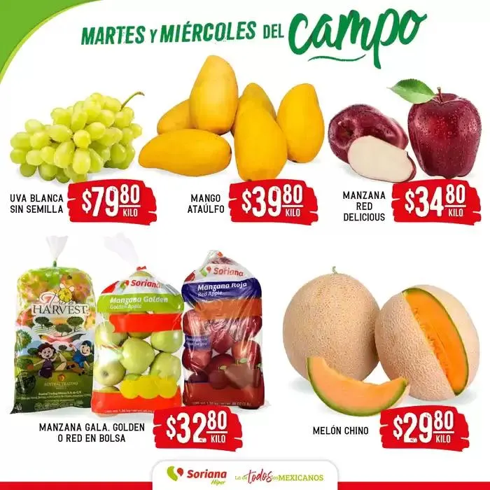 Catálogo de Martes y Miércoles del Campo Híper Nacional 11 de marzo al 12 de marzo 2025 - Pagina 2