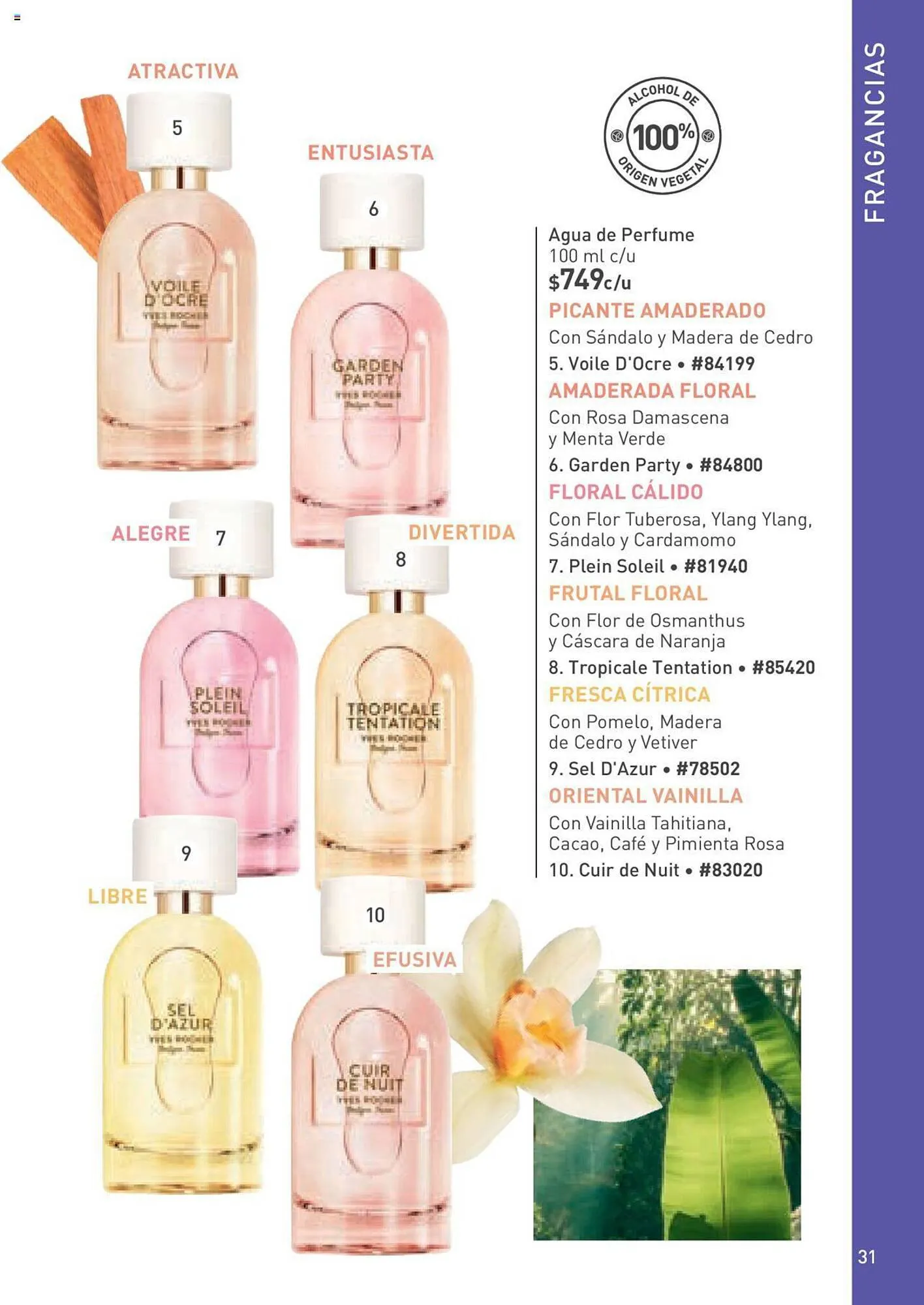 Catálogo de Catálogo Yves Rocher 3 de enero al 22 de enero 2024 - Pagina 31