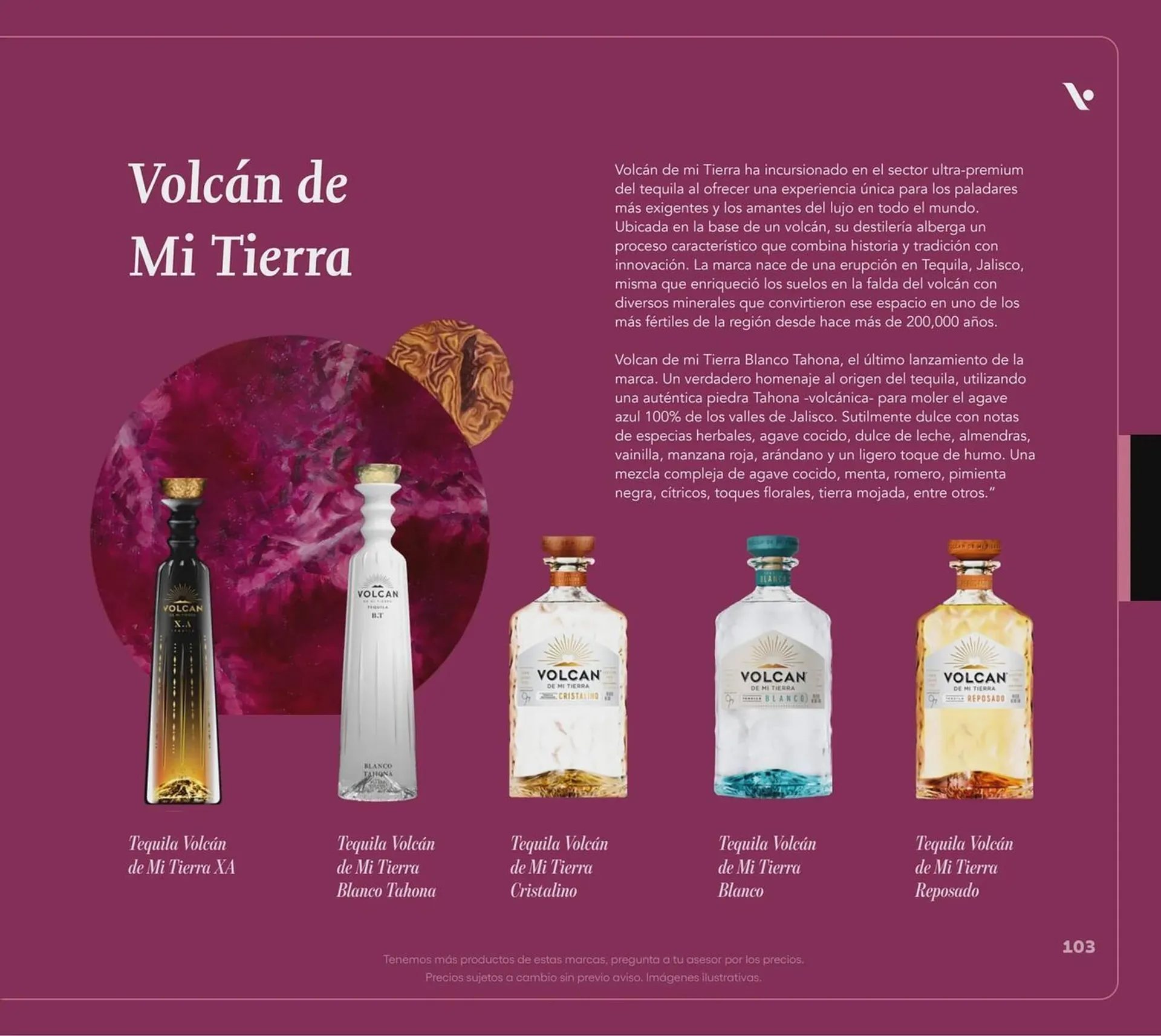 Catálogo de Catálogo Vinoteca 5 de noviembre al 31 de diciembre 2025 - Pagina 103