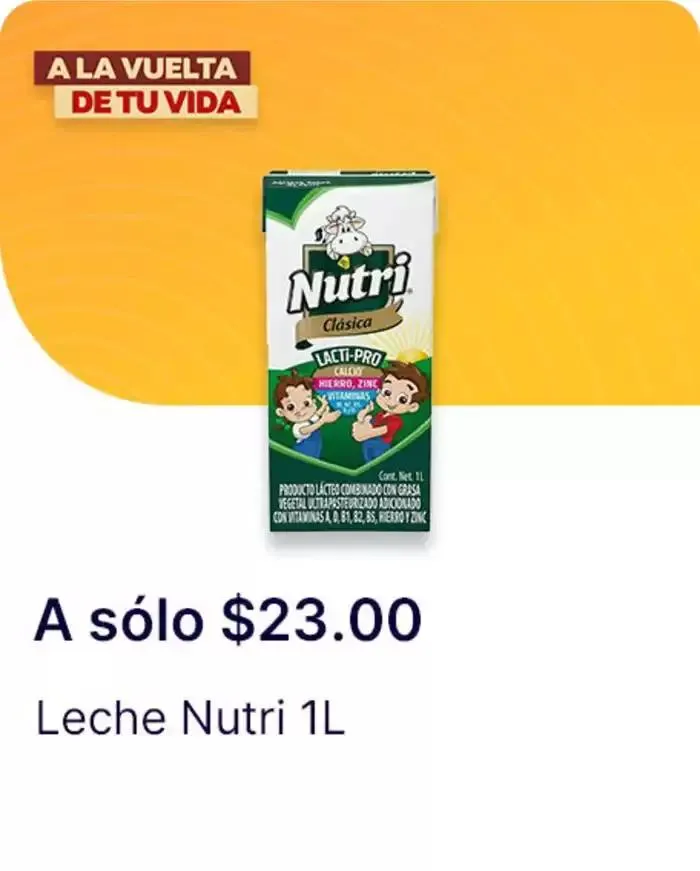 Catálogo de A la vuelta de tu vida 2 de diciembre al 1 de enero 2025 - Pagina 195