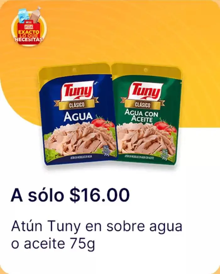 Catálogo de Exacto lo que necesitas 7 de enero al 22 de enero 2025 - Pagina 42