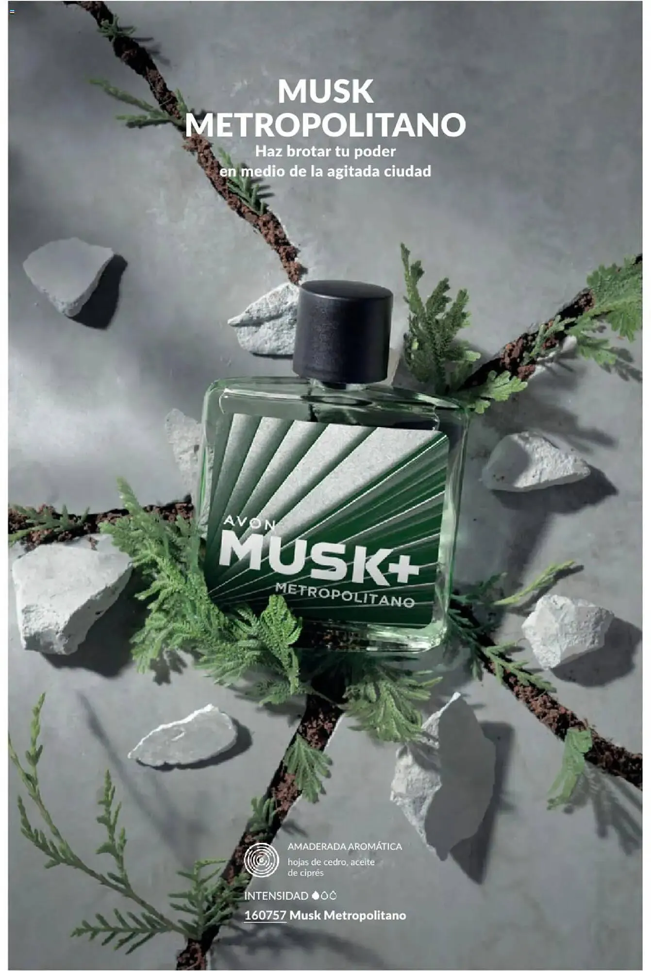 Catálogo de Catálogo Avon 3 de diciembre al 18 de enero 2025 - Pagina 72