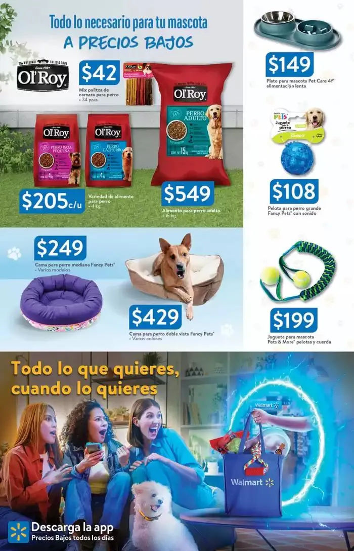 Catálogo de Mascotas 30 de enero al 26 de febrero 2025 - Pagina 3