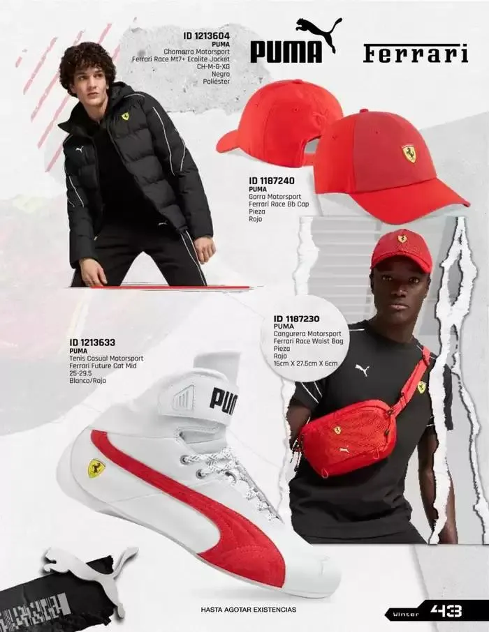 Catálogo de IMPORTADOS WINTER 11 de noviembre al 31 de enero 2025 - Pagina 43