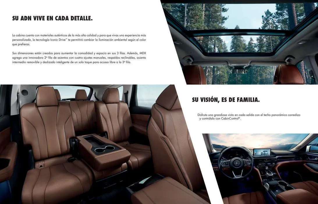 Catálogo de MDX 2024 22 de mayo al 31 de diciembre 2024 - Pagina 3