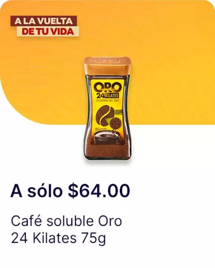 Catálogo de A la vuelta de tu vida 2 de diciembre al 1 de enero 2025 - Pagina 13