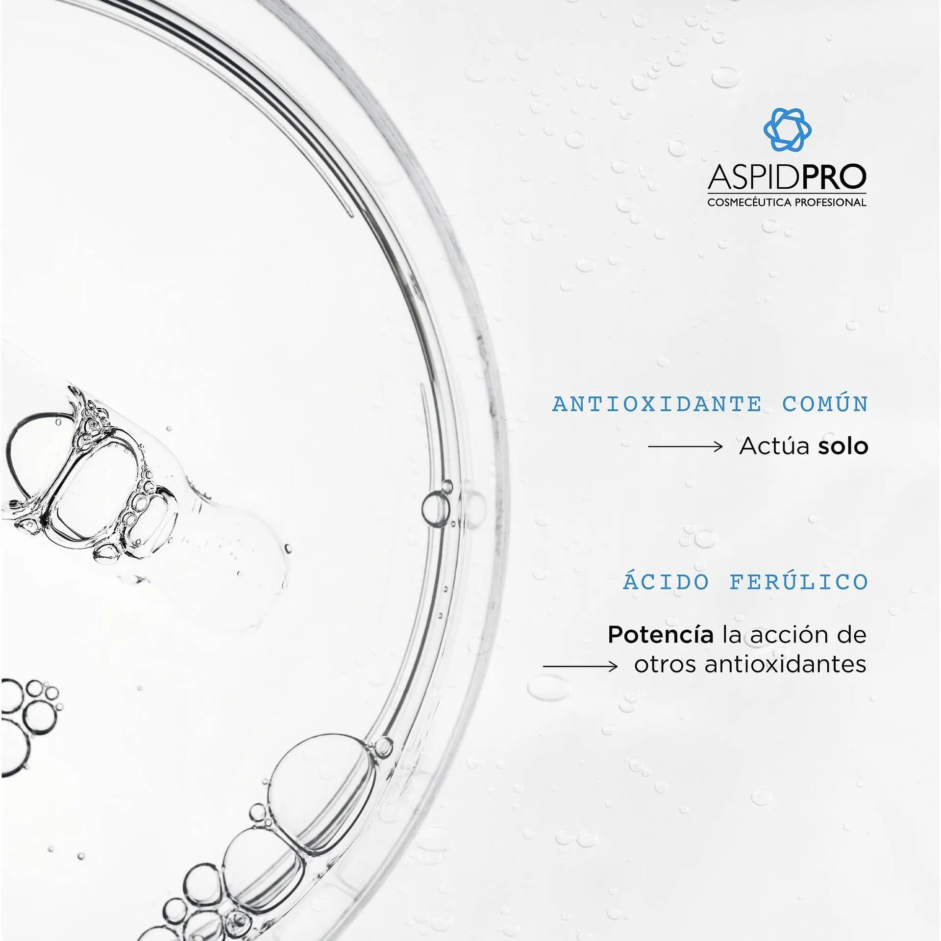 Catálogo de Catálogo AspidPro 22 de abril al 5 de mayo 2026 - Pagina 3