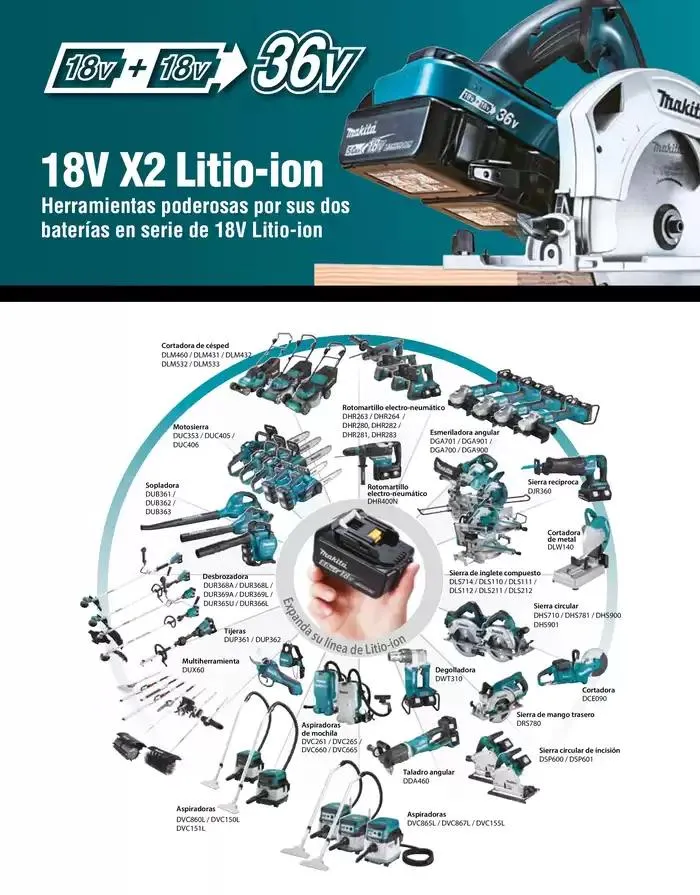 Catálogo de CATÁLOGO GENERAL 11 de abril al 31 de diciembre 2025 - Pagina 41