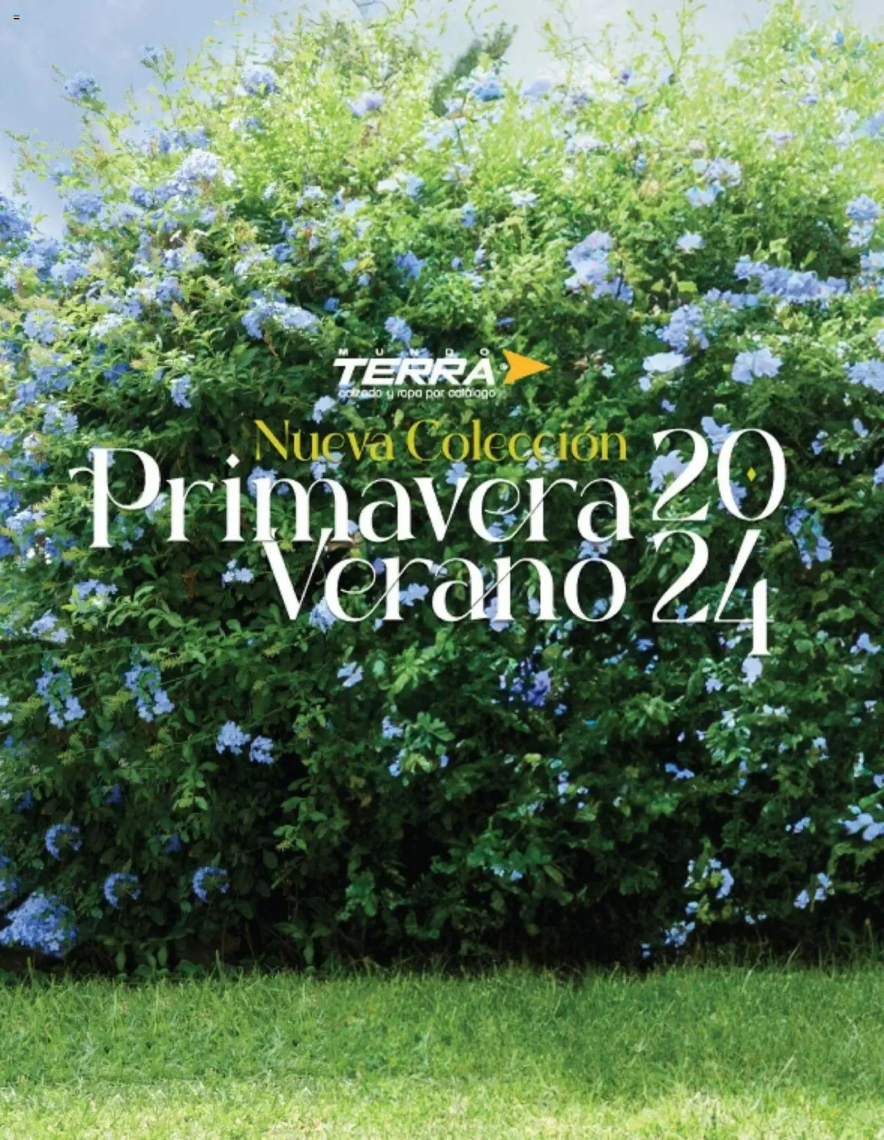 Catálogo de Mundo Terra catálogo 1 de enero al 31 de diciembre 2024 - Pagina 2