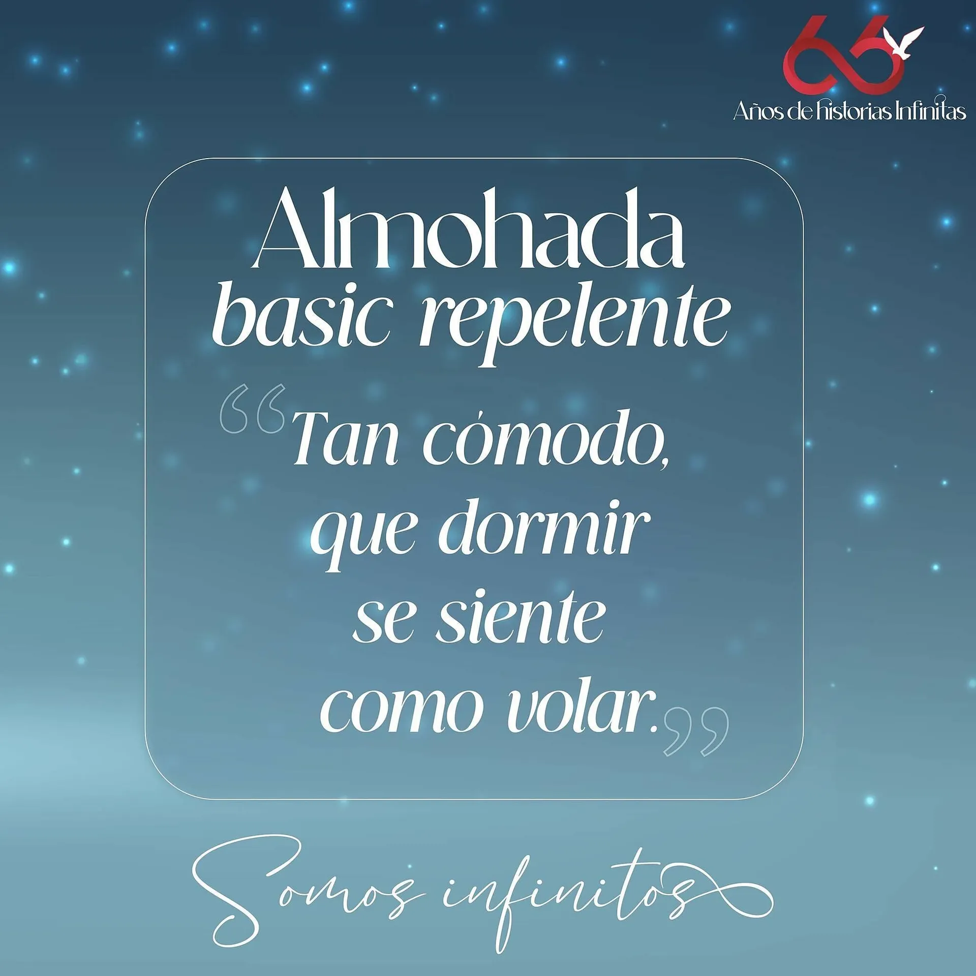 Catálogo de Catálogo Colchas Concord 7 de octubre al 20 de octubre 2025 - Pagina 2