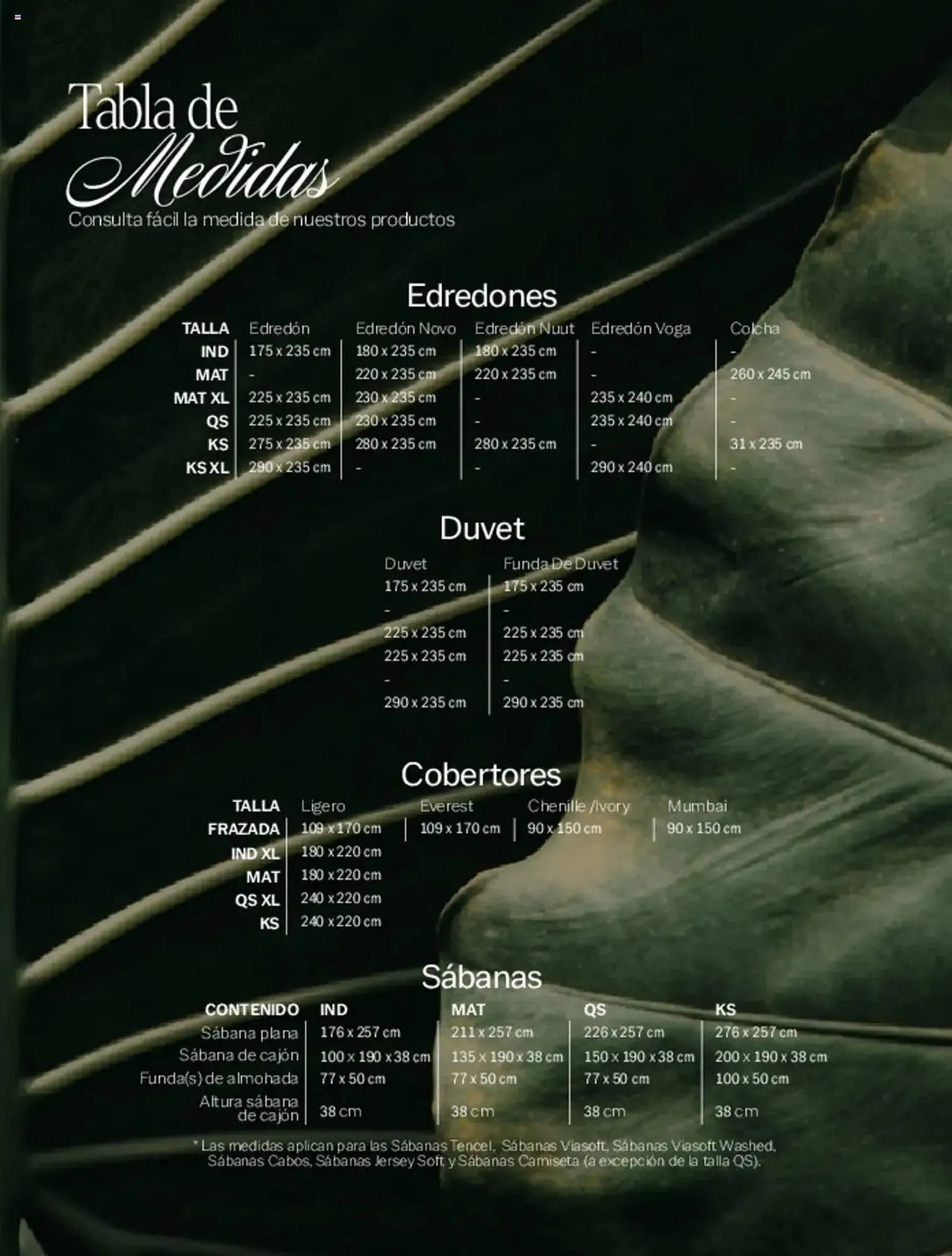 Catálogo de Catálogo Vianney 7 de marzo al 31 de mayo 2025 - Pagina 532