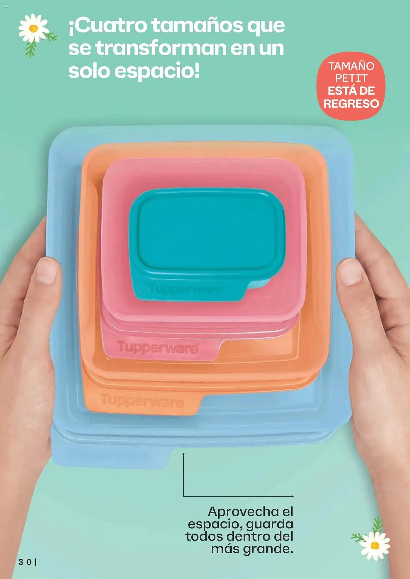 Catálogo de Catálogo Tupperware 23 de febrero al 23 de marzo 2026 - Pagina 30