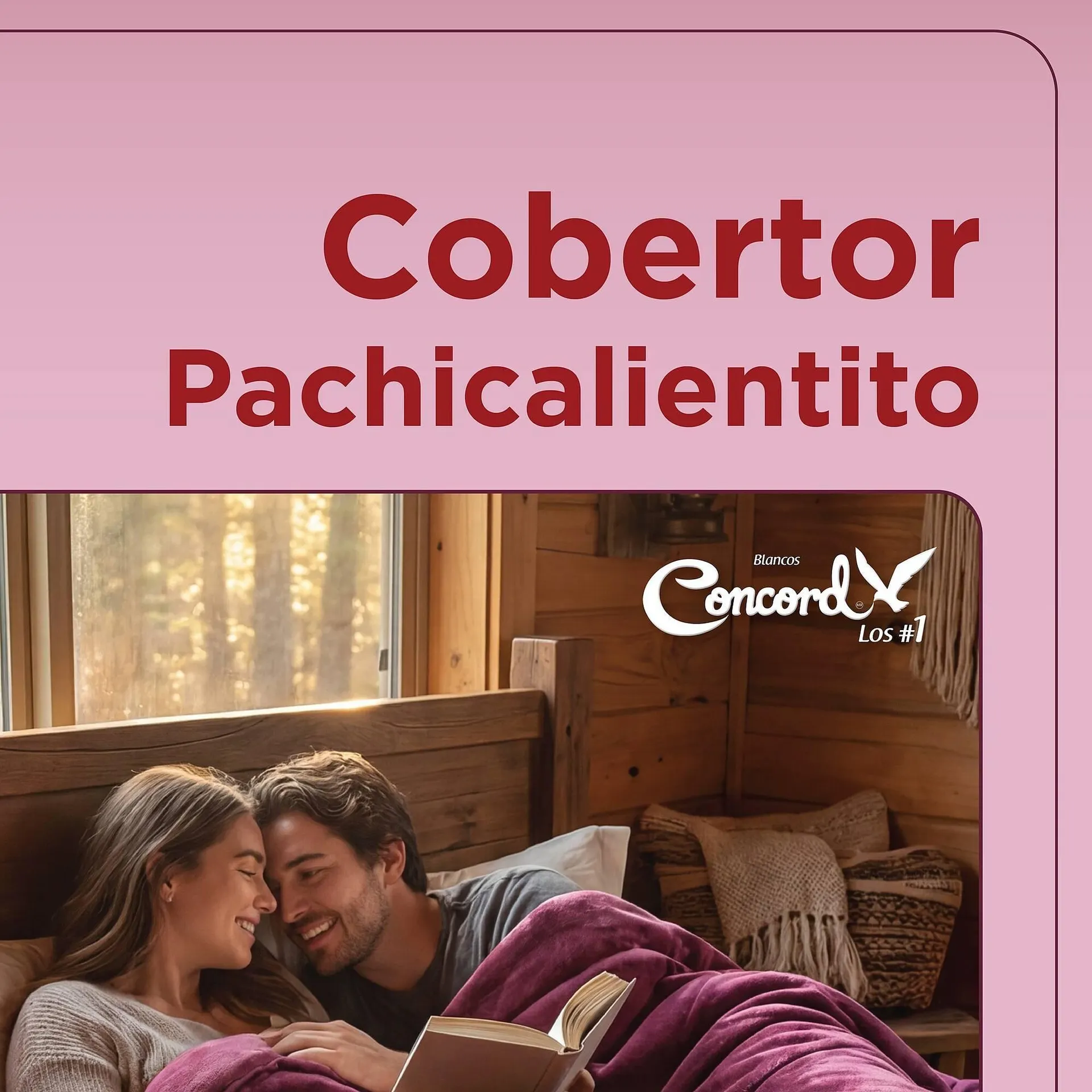 Catálogo de Catálogo Colchas Concord 13 de febrero al 13 de febrero 2026 - Pagina 2