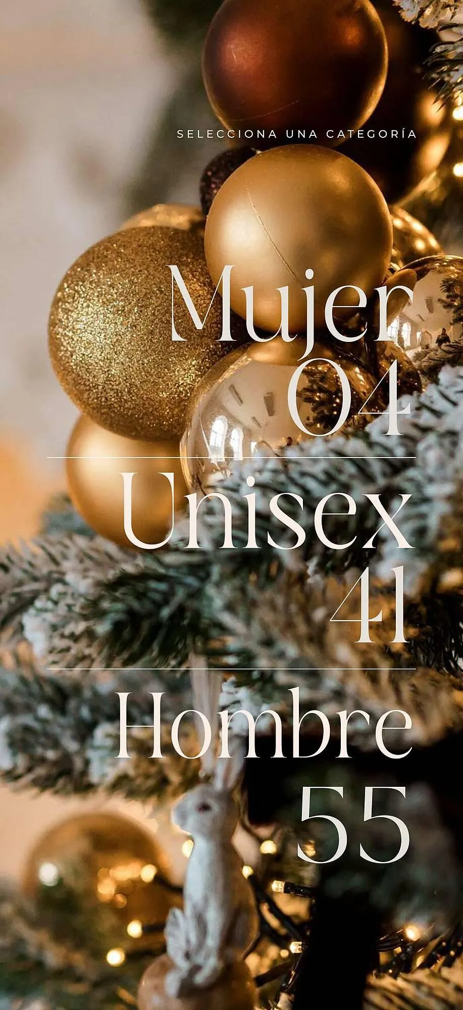 Catálogo de Catálogo SC Pakar 14 de noviembre al 30 de enero 2026 - Pagina 3