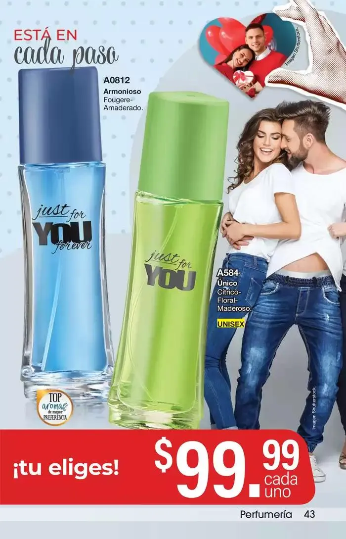 Catálogo de Arabela Campaña 03 10 de enero al 23 de enero 2025 - Pagina 43