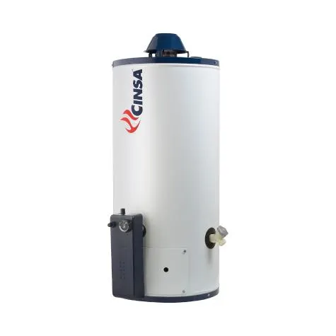 Boiler De Depósito Gas Natural 38 Litros