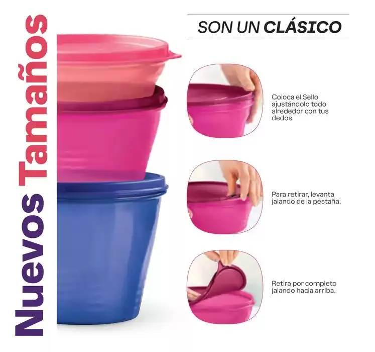 Catálogo de Tupper Tips 14 15 de octubre al 10 de noviembre 2024 - Pagina 44