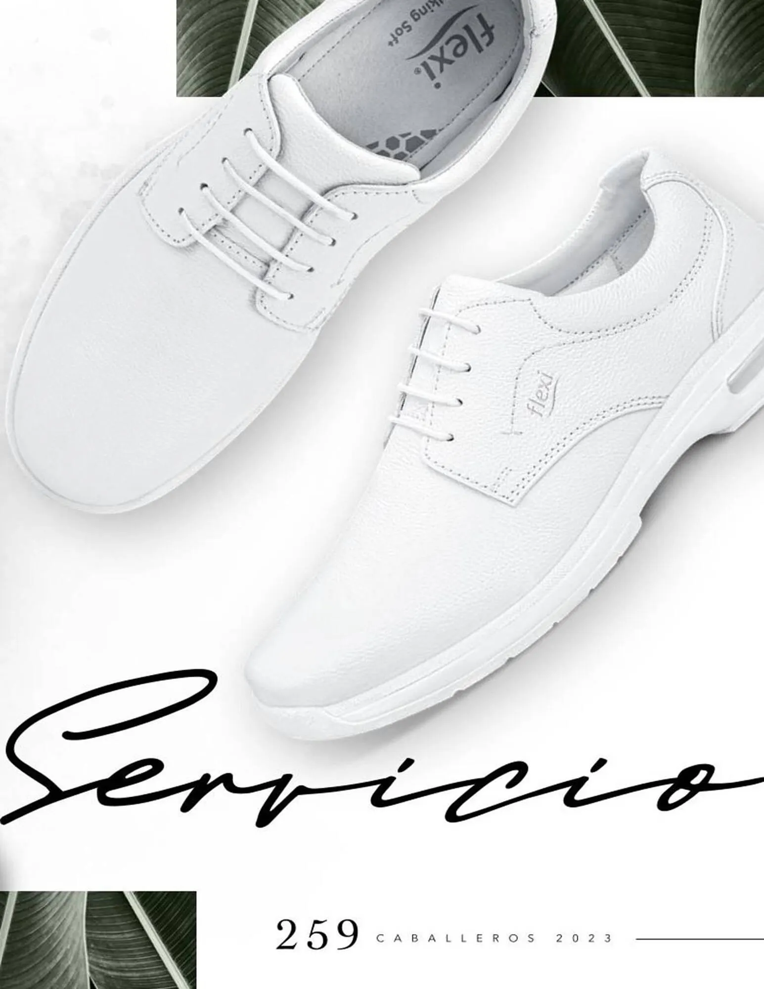 Catálogo de Catálogo Price Shoes 18 de diciembre al 31 de diciembre 2024 - Pagina 259